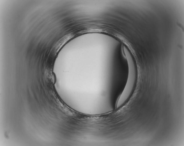 X0000099581193200806131311