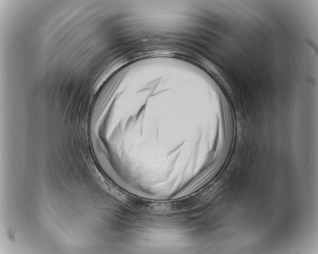 X0000099581194200806131311