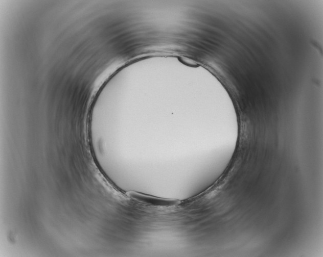 X0000099581196200806131311