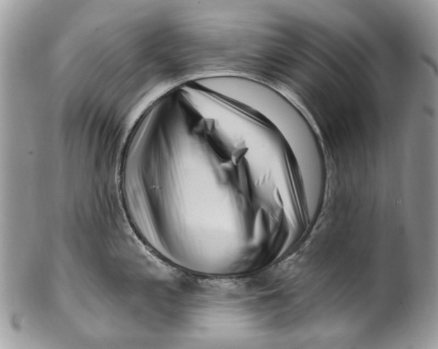 X0000099581197200806131311