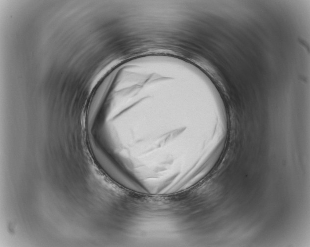 X0000099581198200806131311