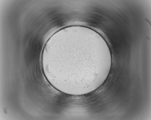 X0000099581199200806131311