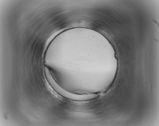 X0000099581200200806131311