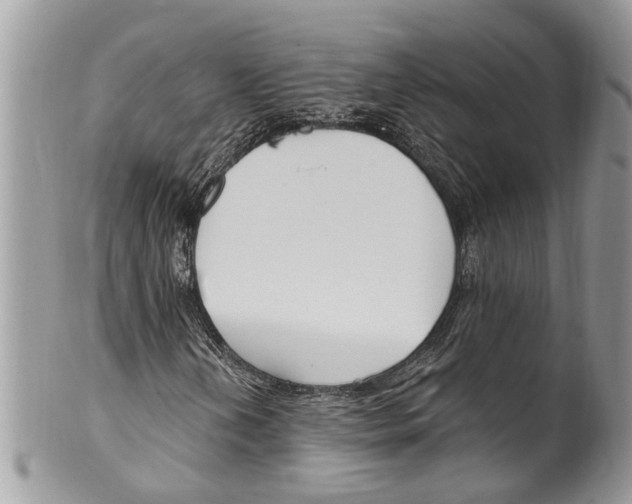 X0000099581202200806131310