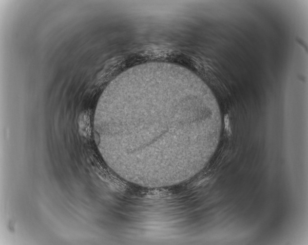 X0000099581203200806131310