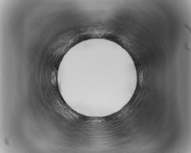 X0000099581204200806131310