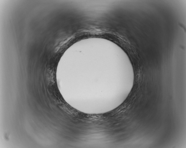 X0000099581205200806131310