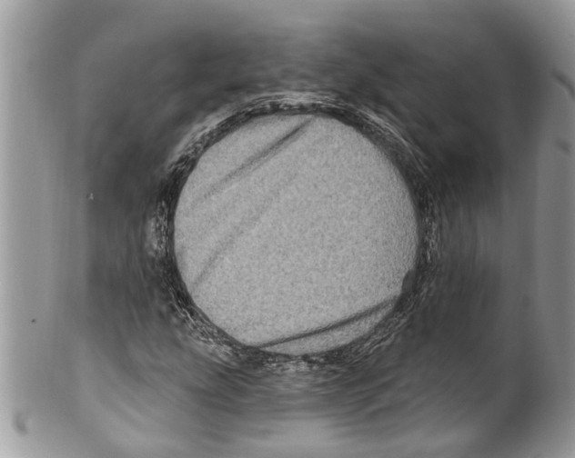 X0000099581207200806131310