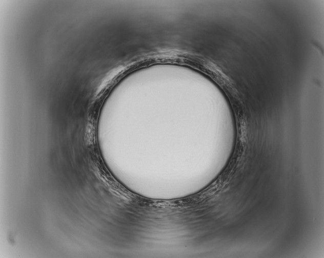 X0000099581208200806131310