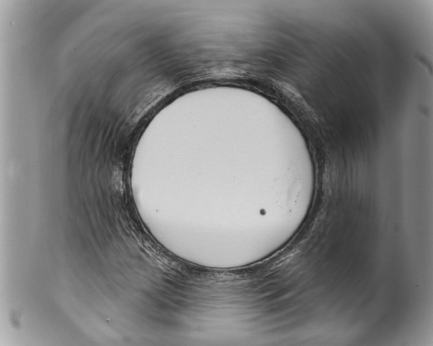 X0000099581209200806131310