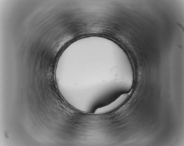 X0000099581210200806131310