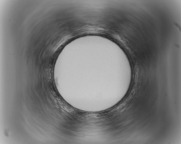 X0000099581211200806131310