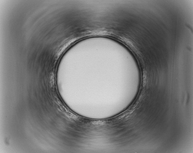 X0000099581212200806131310