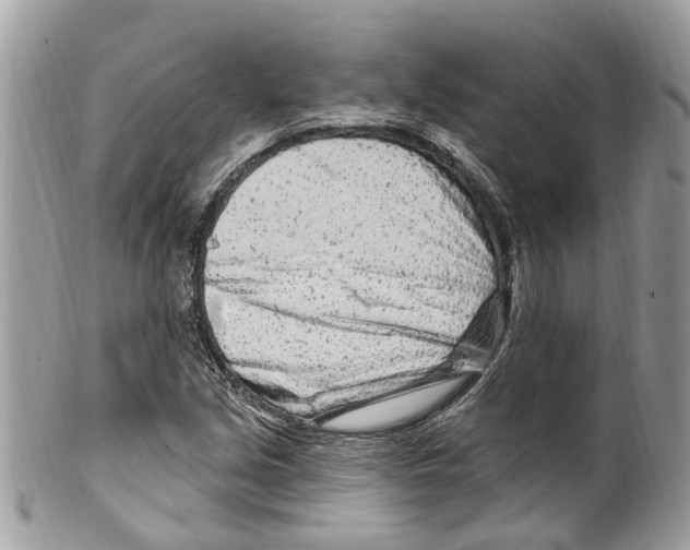 X0000099581213200806131310