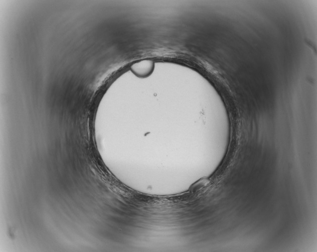 X0000099581214200806131310