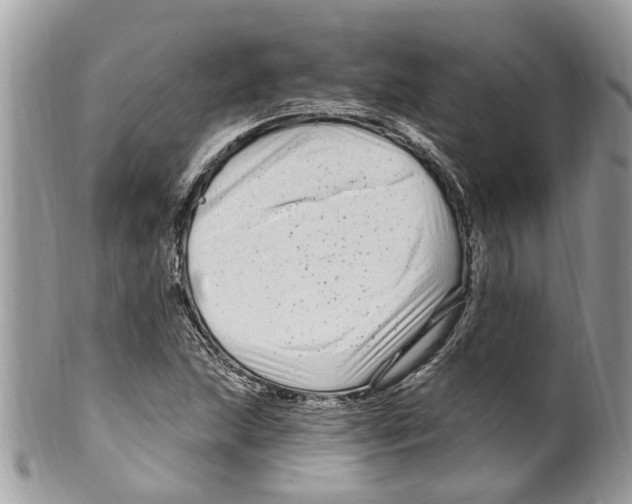 X0000099581215200806131310