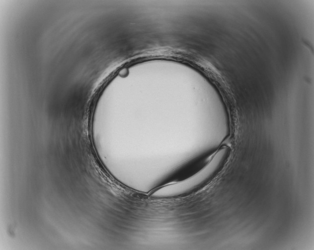 X0000099581216200806131310