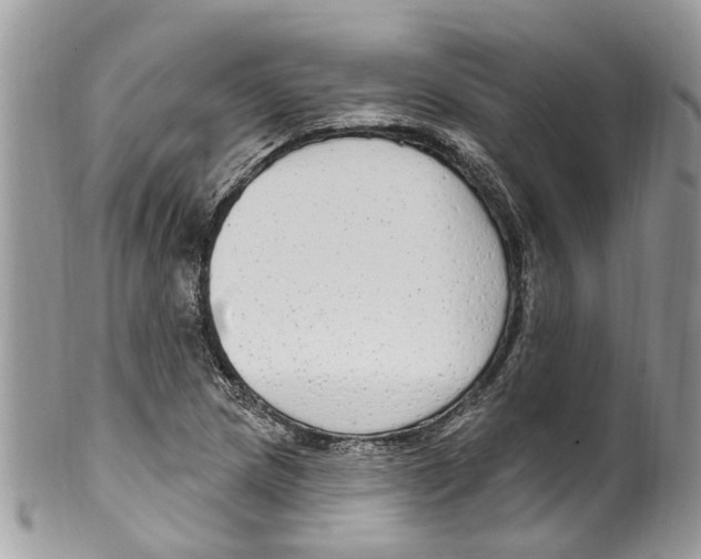 X0000099581217200806131310