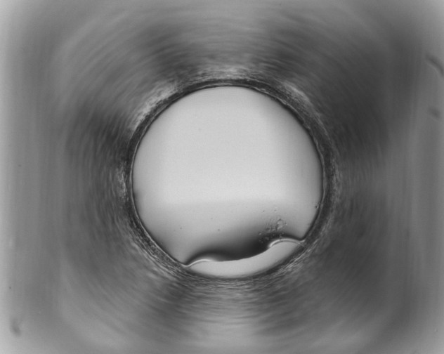 X0000099581218200806131310