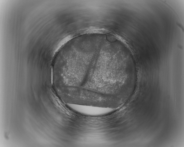 X0000099581219200806131310