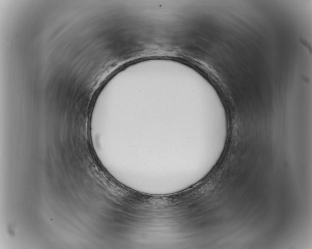 X0000099581220200806131310