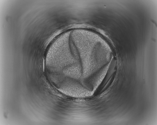 X0000099581221200806131310