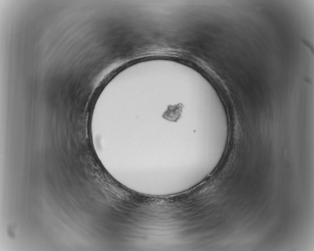 X0000099581222200806131311