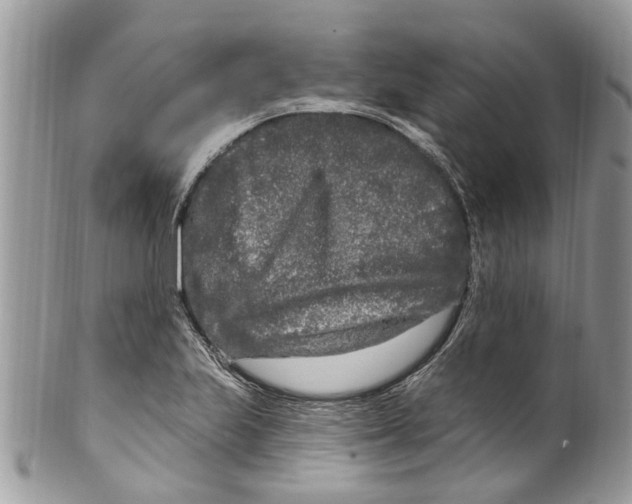 X0000099581223200806131311