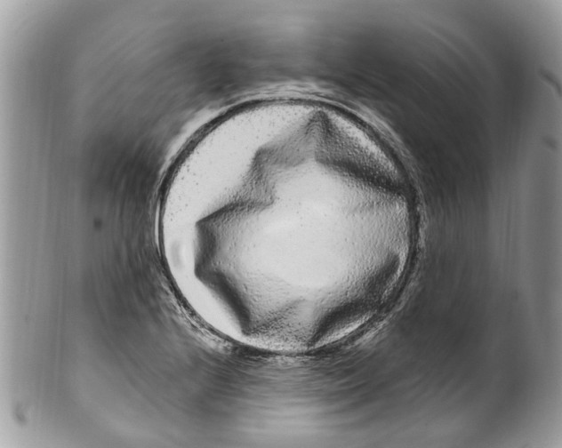 X0000099581224200806131311