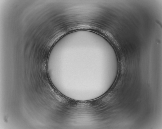 X0000099581225200806131311