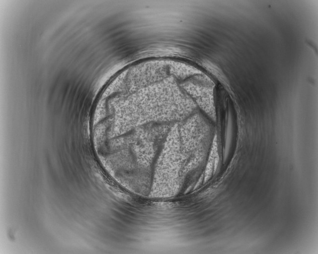 X0000099581226200806131311