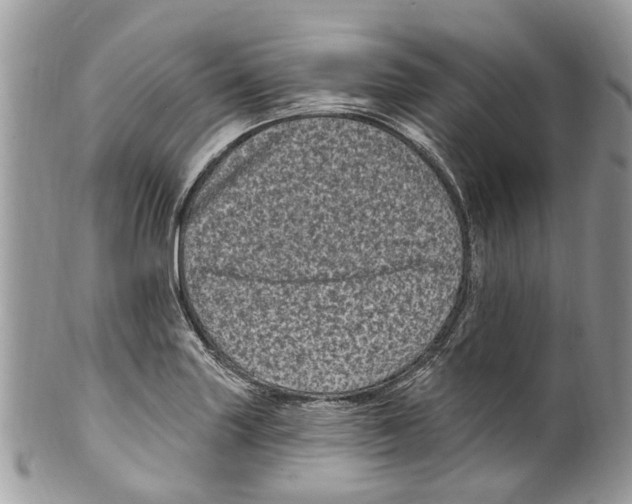 X0000099581227200806131311