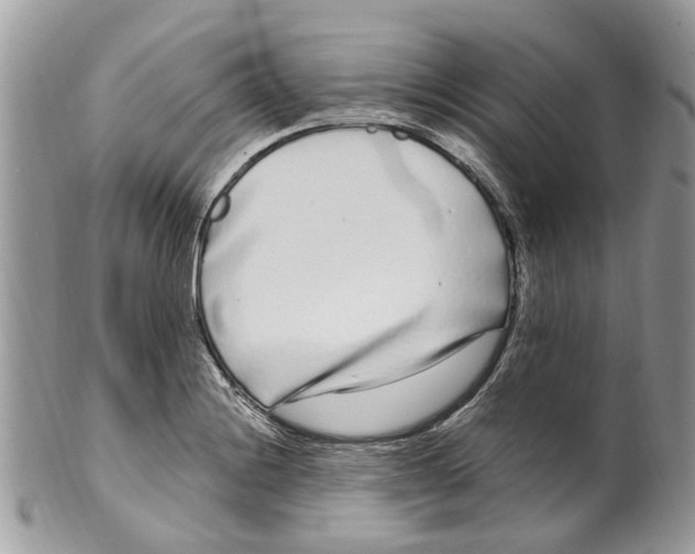 X0000099581228200806131311