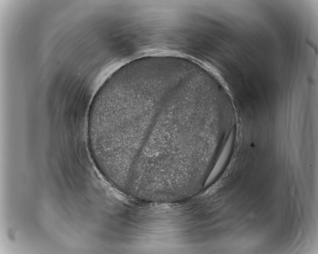 X0000099581231200806131311