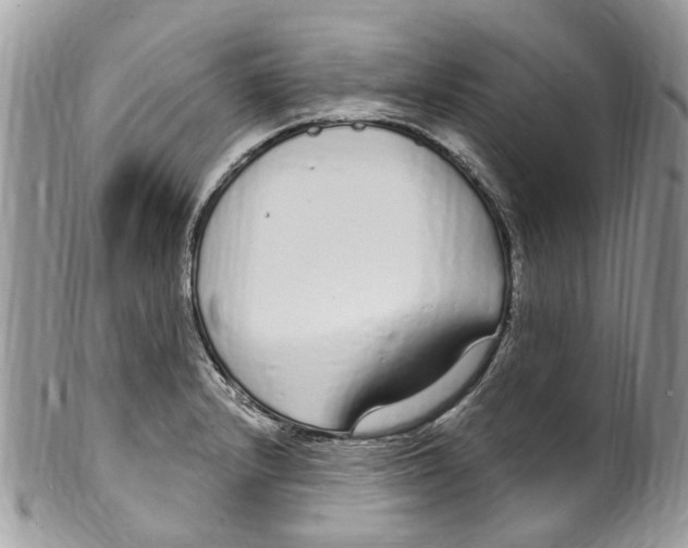 X0000099581232200806131311