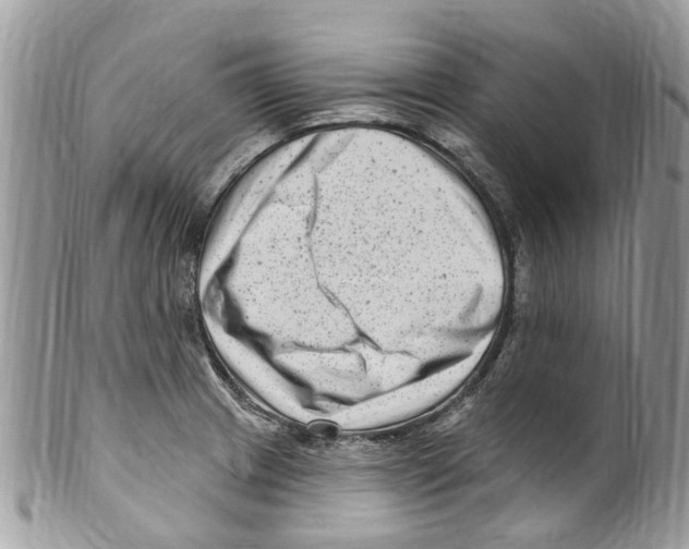 X0000099581233200806131311