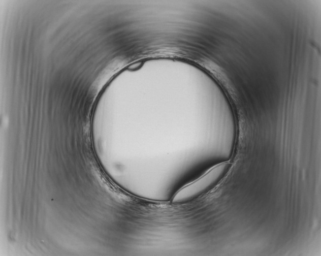 X0000099581234200806131311