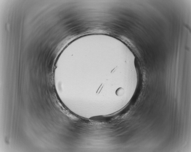 X0000099581236200806131311