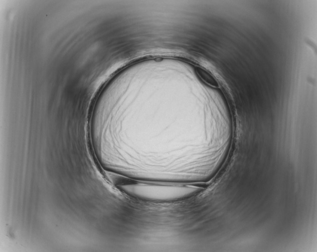 X0000099581237200806131311