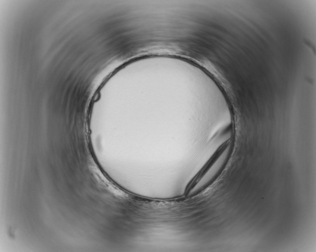 X0000099581240200806131311