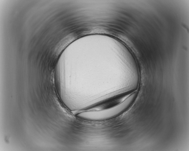 X0000099581241200806131311