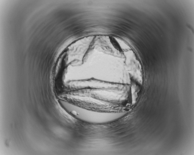 X0000099581243200806131311