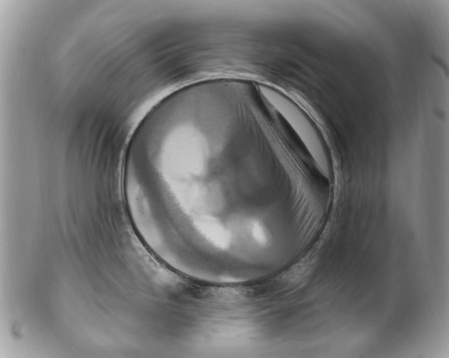 X0000099581246200806131311