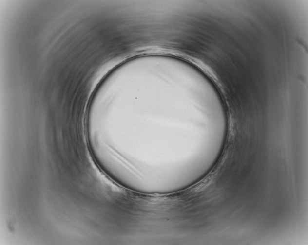 X0000099581247200806131311