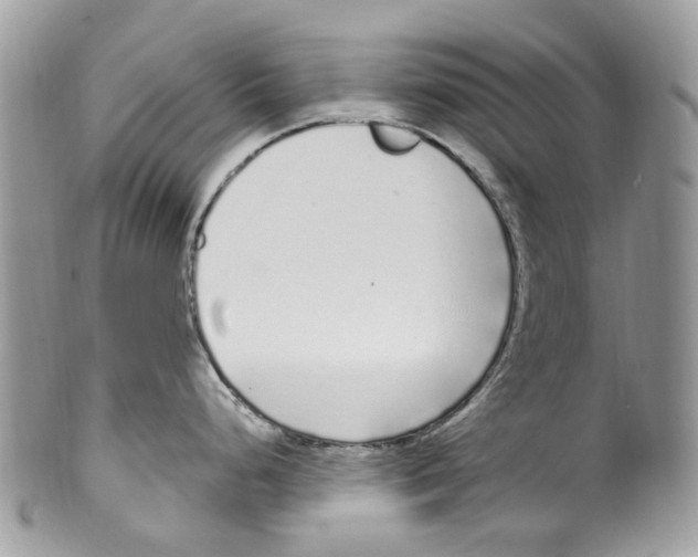 X0000099581248200806131311