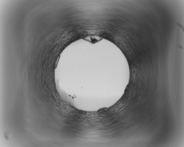 X0000099581249200806131310