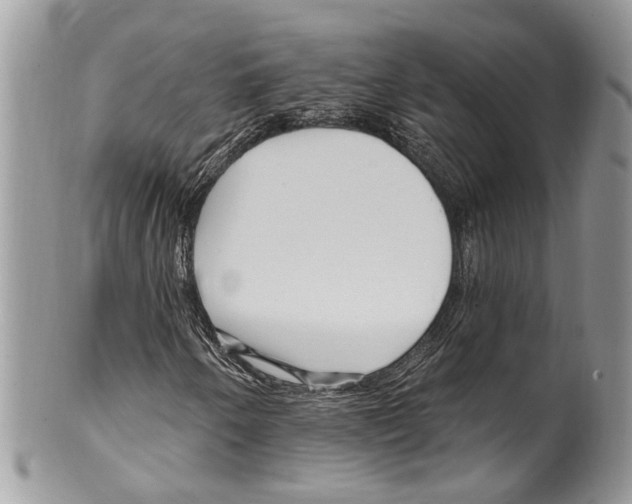 X0000099581250200806131310