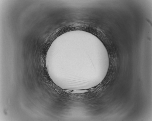 X0000099581253200806131310