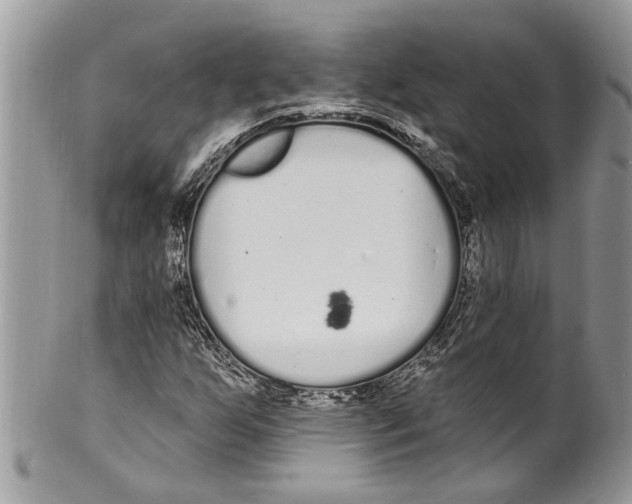 X0000099581255200806131310