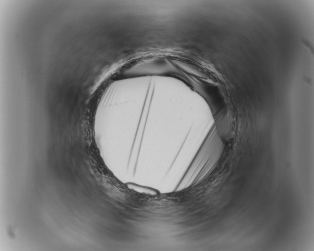 X0000099581256200806131310